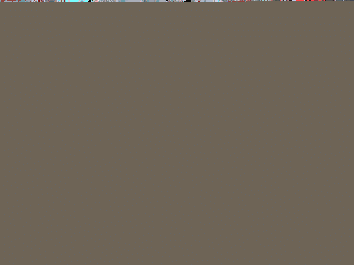 p_00017_400_300.gif