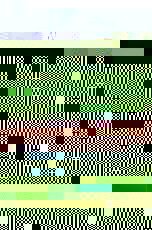 horns grill 1.jpg