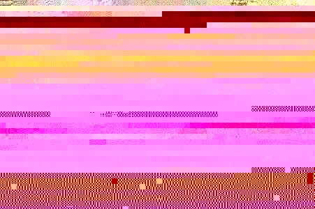 image1.jpg