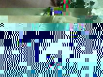 Bottom view.jpg