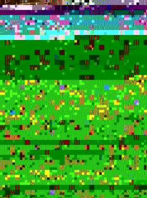 image.jpg