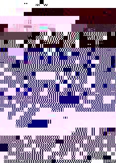 yhst-8476489043850_2253_26182067.jpg