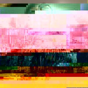 9111_10151502990284518_204620893_n.jpg