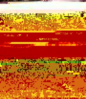 photo.JPG