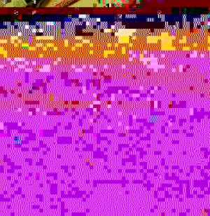 IMG_20130609_212545.jpg
