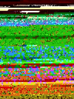 P1090030.JPG