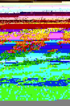 wrapfront.jpg