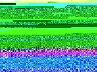Dungeness Orcas.JPG