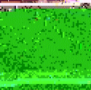 Flash In The Can.jpg