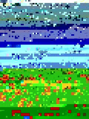photo.JPG
