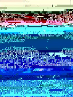 {667DA1B3-46F6-43EE-9EC0-2390AD47585F}Img100.jpg