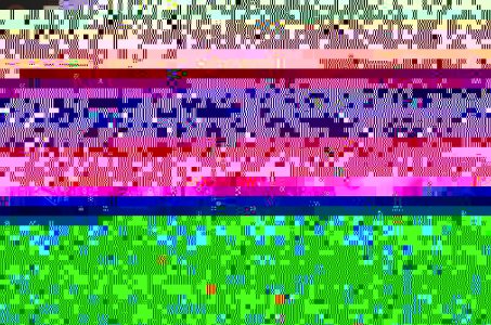 stereomour3.jpg