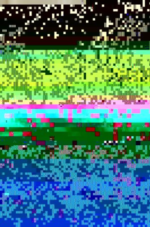 stereomour4.jpg