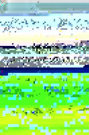 stereomour5.jpg