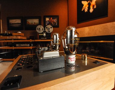 Bottlehead BeePre.jpg