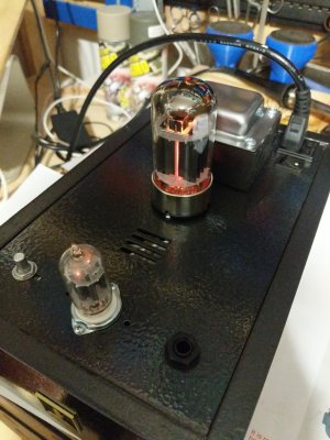 bottlehead6.jpg