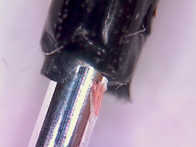 20220722_0007.jpg