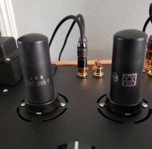 RCA JAN.jpg