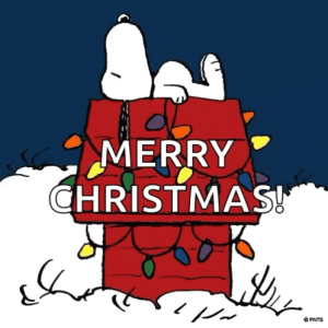 snoopy Christmas.gif