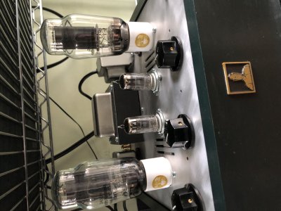 stereomour-tube1.JPG