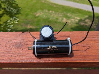 PXL_20230525_164426290.jpg