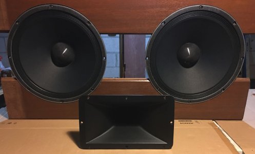 LookDeeplyIntoMyCones.JPG