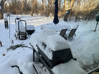 IMG_4649.jpeg IMG_4649.jpeg