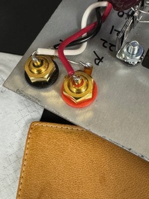 IMG_7905.jpeg IMG_7905.jpeg