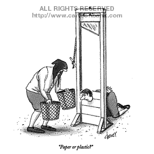 PAPER OR PLASTIC.gif
