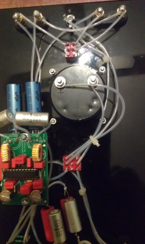 IMAG0044.jpg