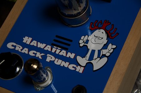 hawaiianpunch2.jpg