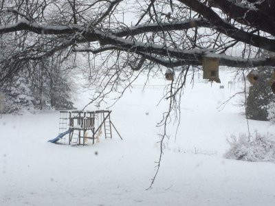 Spring.JPG