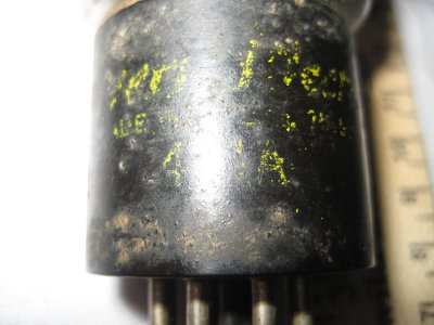 $gtfhgf_57.JPG