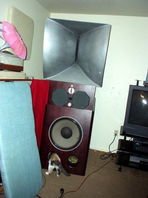 XLH Cat 001.jpg
