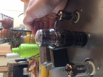 BottleheadRectifier.JPG