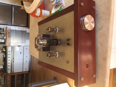 BottleheadPreamp.JPG