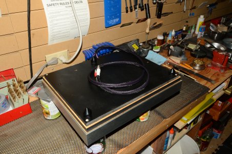 DSC_4853.JPG