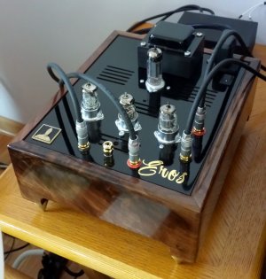 Bottlehead Eros.JPG