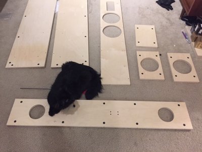 Cat is Helping.jpg