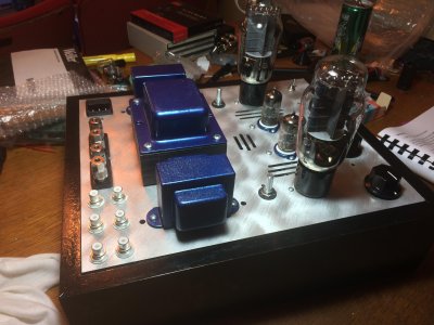Stereomour II No. 1.JPG
