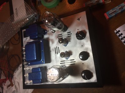 Stereomour II No. 2.JPG