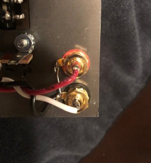 amp 1.jpg