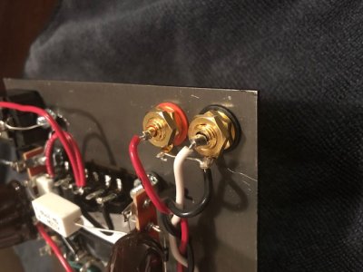 amp 2.jpg