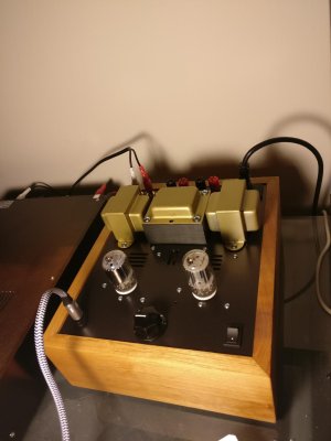 bottlehead1.jpg