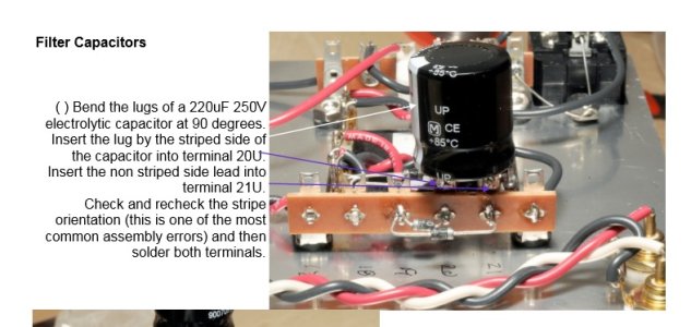 220uF Cap.jpg