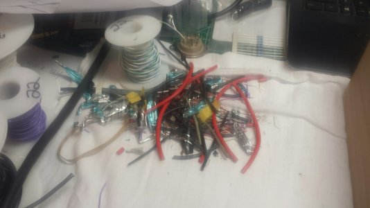 wire schiblings.jpg
