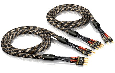 biwire cables.jpg