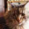 Larpy
