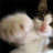 WhenKittensATK