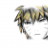 ashura